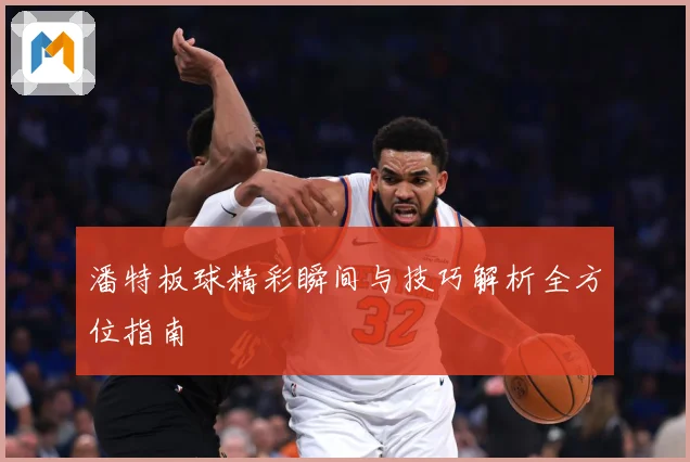 潘特板球精彩瞬间与技巧解析全方位指南