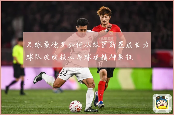 足球桑德罗如何从绿茵新星成长为球队攻防核心与球迷精神象征