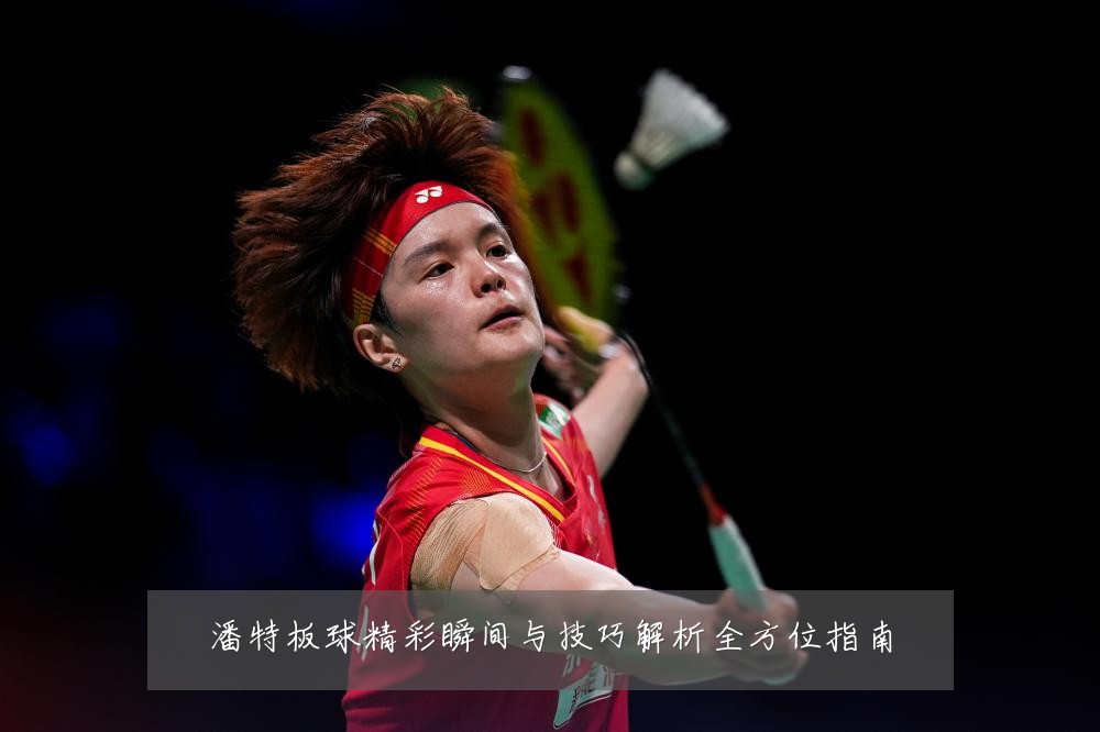 潘特板球精彩瞬间与技巧解析全方位指南