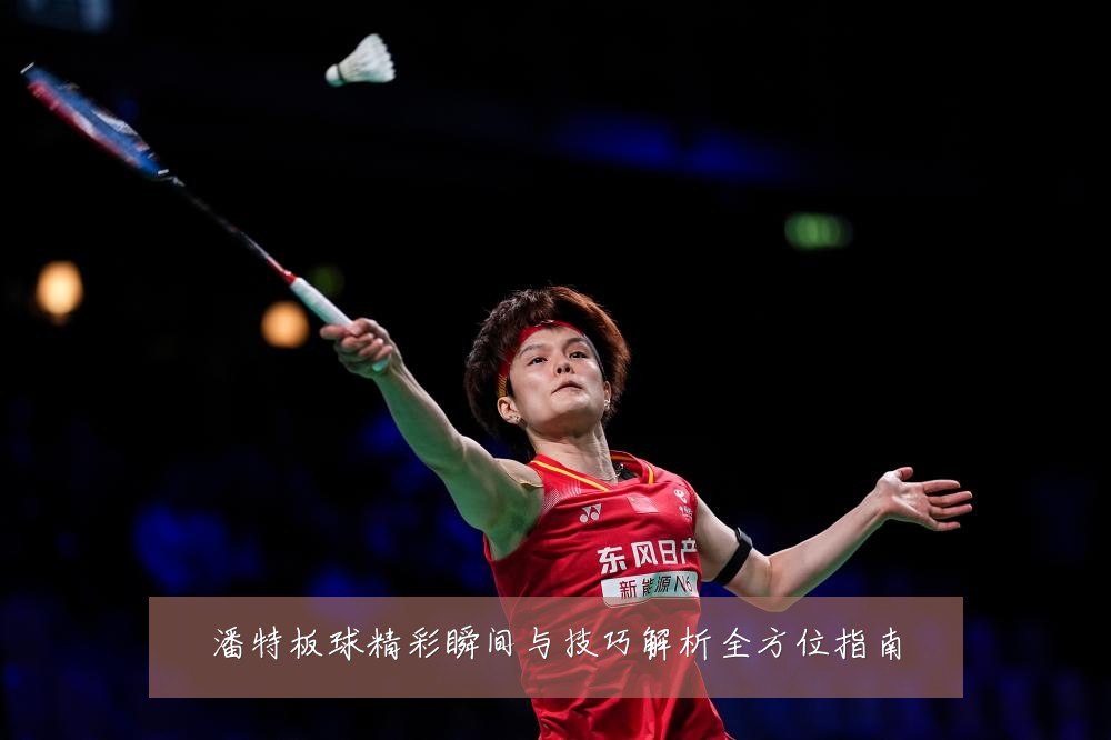 潘特板球精彩瞬间与技巧解析全方位指南